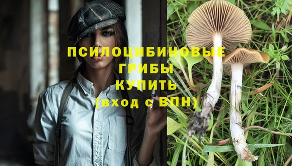 таблы Арсеньев
